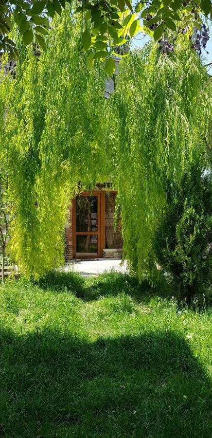 Tamari Guest House Telavi Exterior foto